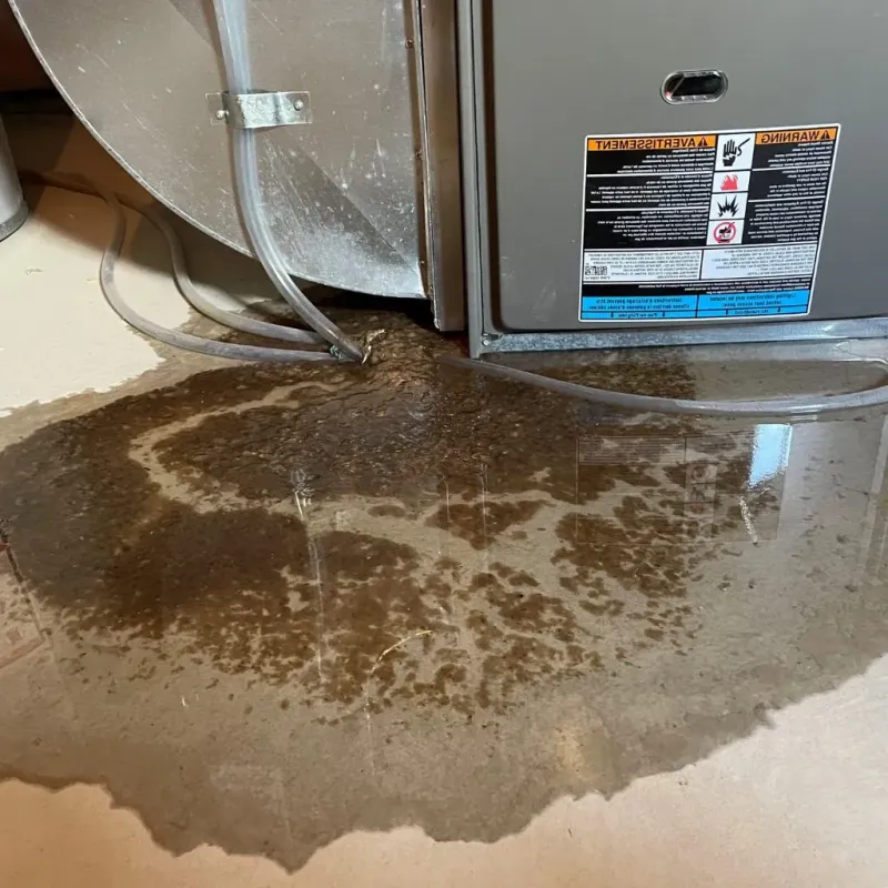 Pipe Burst and Leak Restoration in Overton County, TN